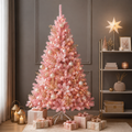 Sapin Rose